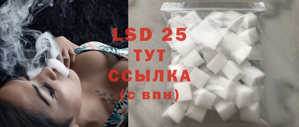 прущие грибы Алексеевка
