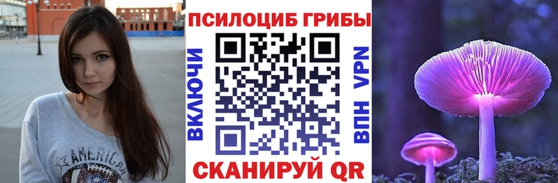 Псилоцибиновые грибы Psilocybe  Андреаполь 
