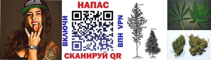 Шишки марихуана OG Kush  нарко площадка официальный сайт  Андреаполь 